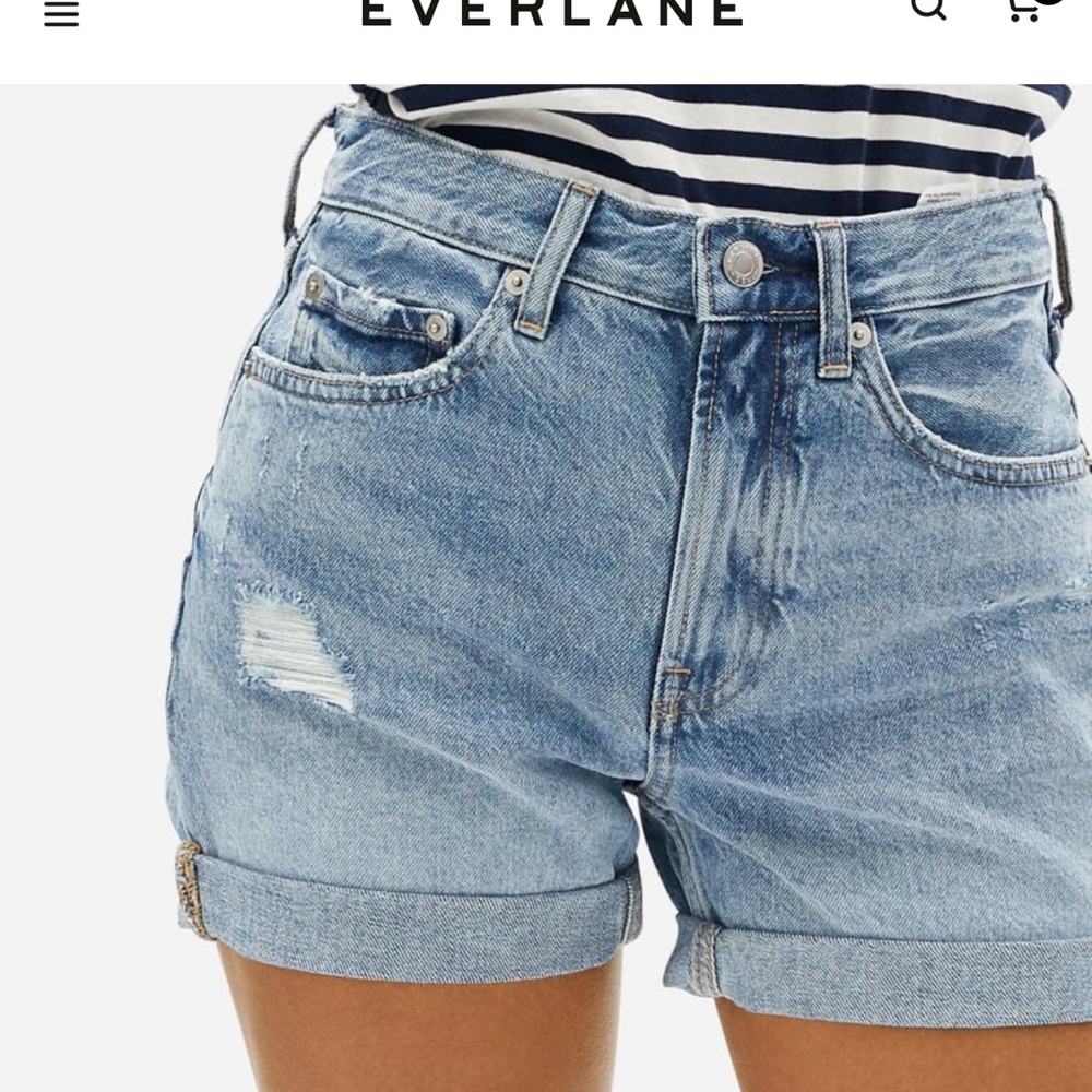 Everlane The Denim Shorts